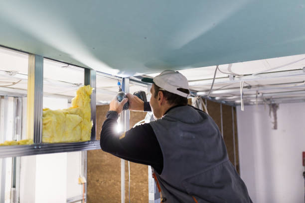 Best Geographic-Specific Insulation Services in La Nte, MO