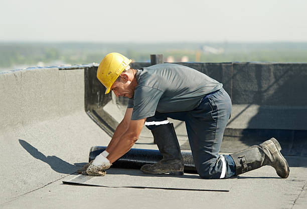 Best Insulation Maintenance and Repair in La Nte, MO