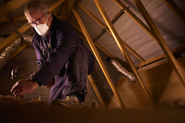 Best Specialized Insulation Services in La Nte, MO