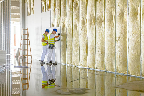 Best Cellulose Insulation in La Nte, MO